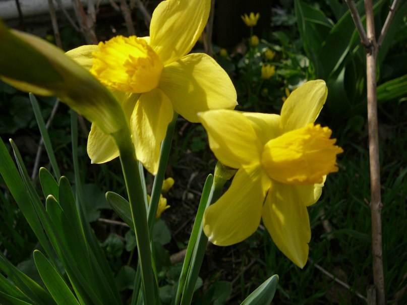 Николай Мартыненко | Анапа