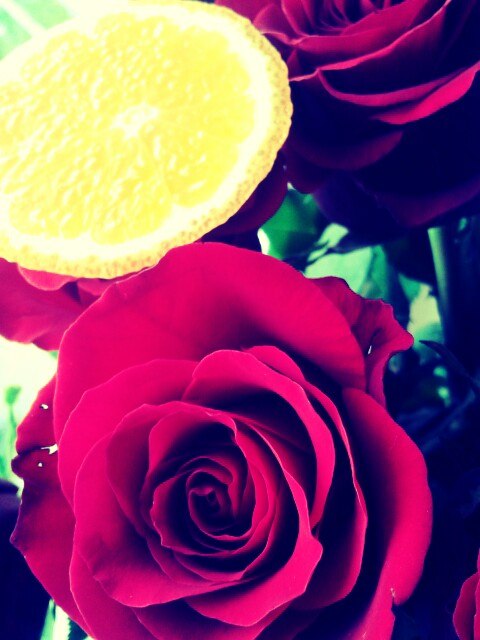 Анжелика Почепко | Рига