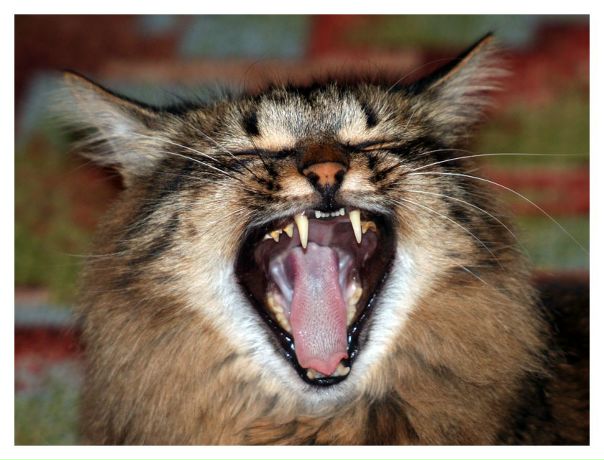 №20, Макс Захаров, 30 лет, Челябинск №20, Макс Захаров, 30 лет, Челябинск