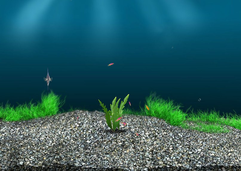 Леша Платонов | Новосибирск