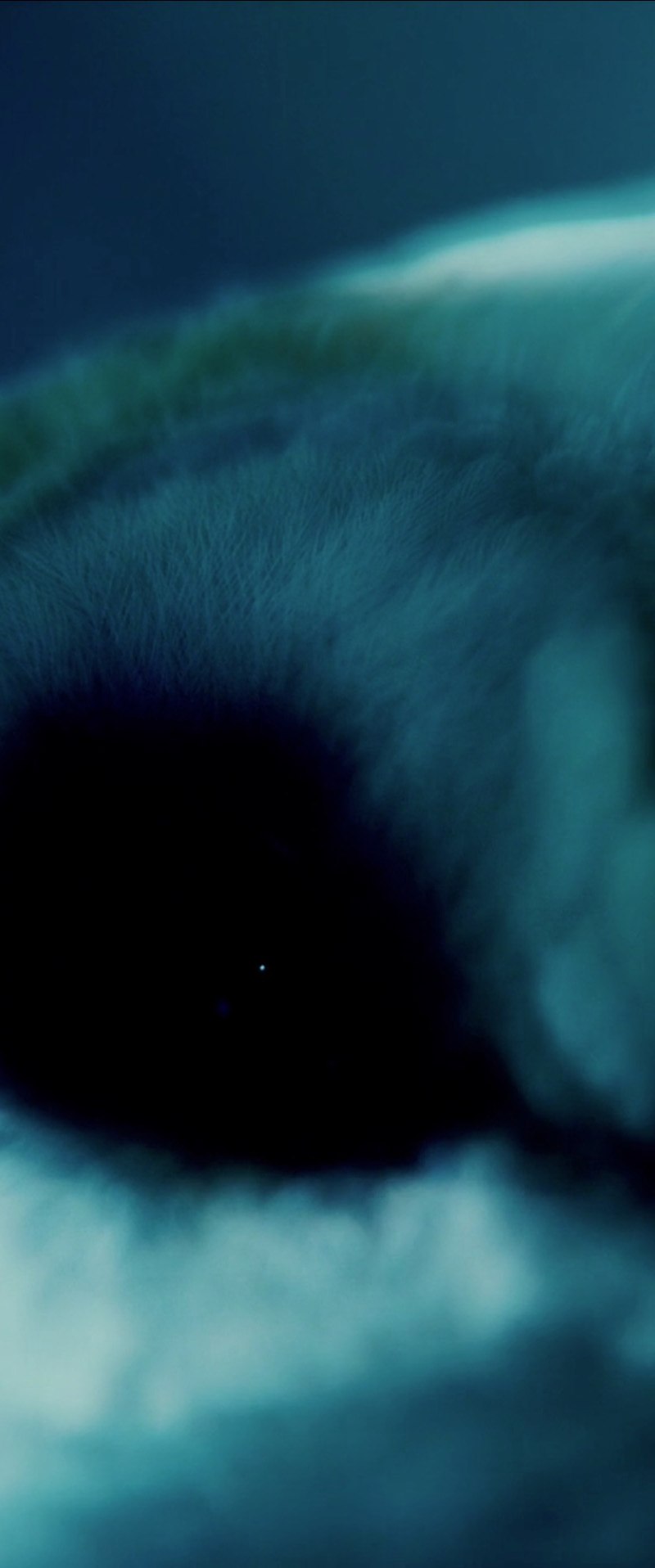 Леша Шорин | Москва