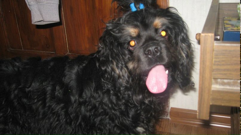 Анастасия Клименко ツ♥ツ♥ツкуклаツ♥ツ♥ツ | Краматорск