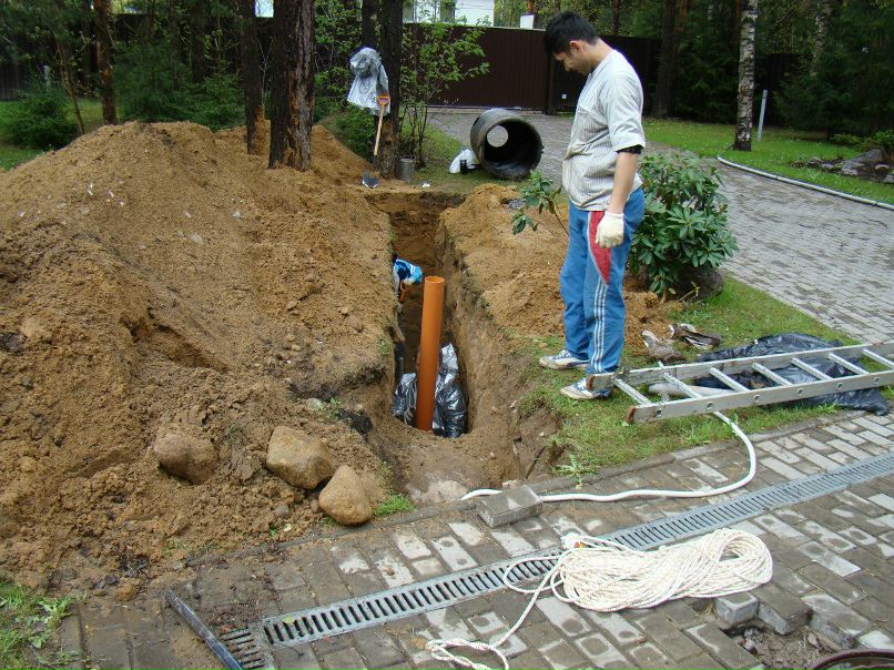Дмитрий Каратаев | Санкт-Петербург
