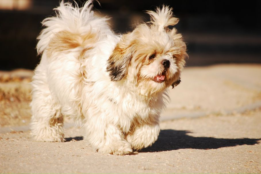 №118, Максим Пилипенко, 34 года, Севастополь №118, Максим Пилипенко, 34 года, Севастополь