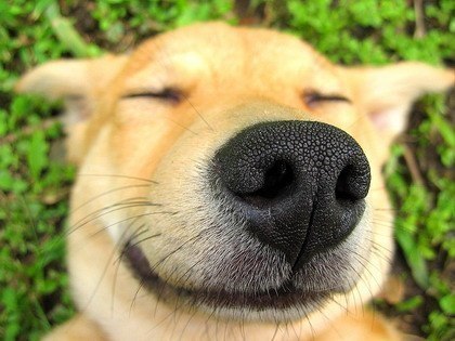 №130, Алексей Кравченко, 38 лет, Москва №130, Алексей Кравченко, 38 лет, Москва