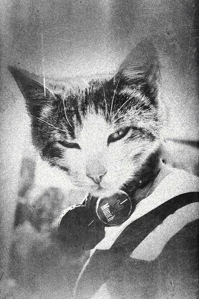 Андрей Раковский | Тула