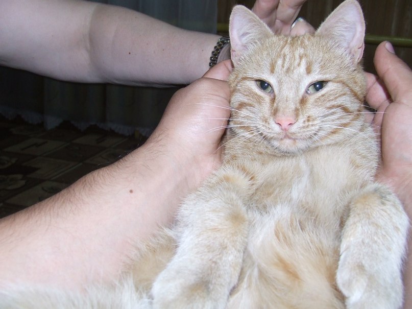 Зульфат Закирзянов DARK | Казань