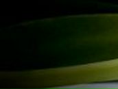 Ольга Любишина | Сумы