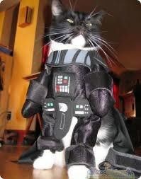 Валентин Плисов Kaspersky ✓ | Верхняя Пышма