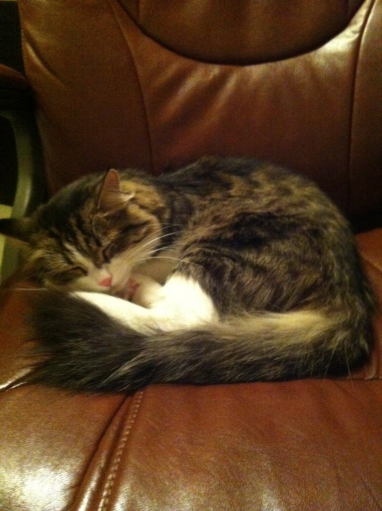 Сергей Иванов | Пермь