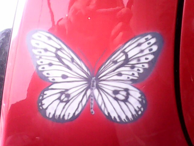 Софья Светлая | Москва