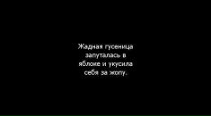 Фотография Максим Элькин