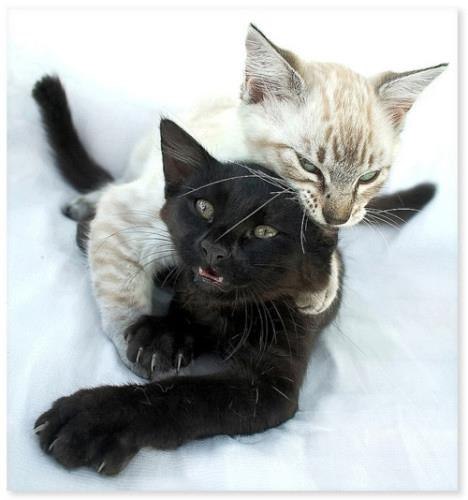 Michael Ilov | Киев