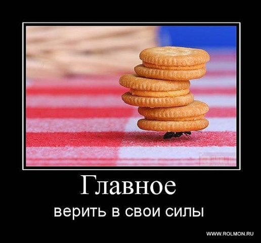 №25, Роман Малькевич, Жовква №25, Роман Малькевич, Жовква