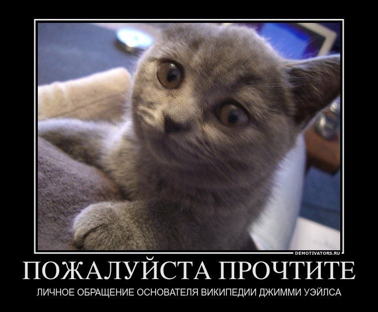 Ирина Родионова | Москва