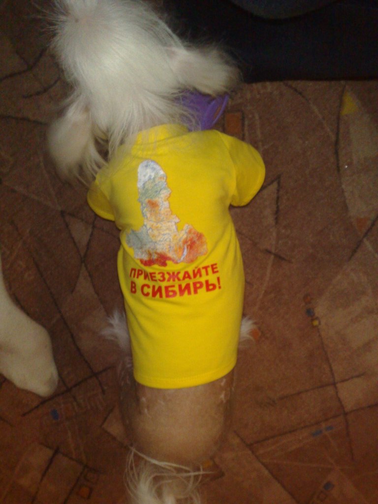 Кристина Агеева KirsteN | Москва