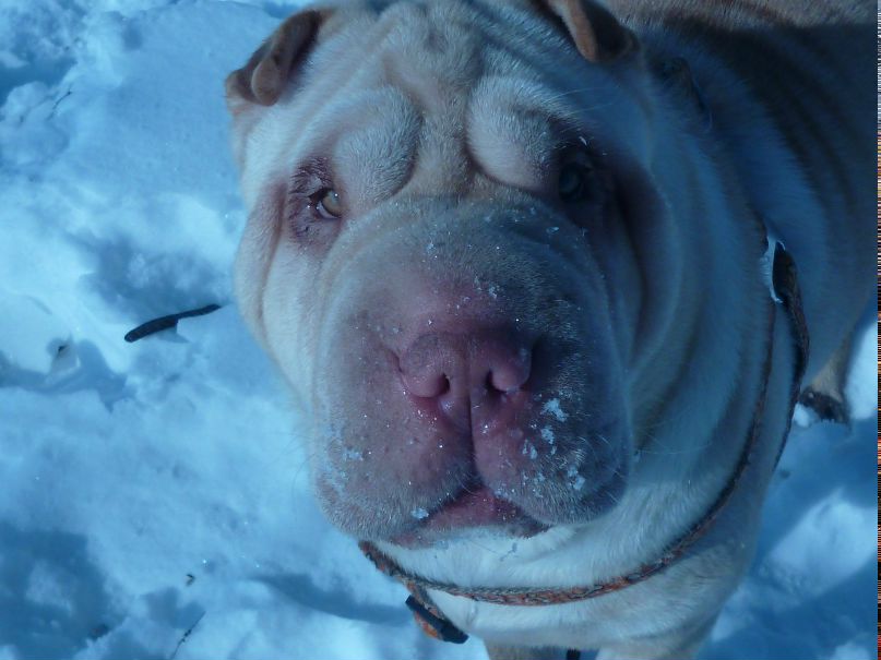 Евгений Титов | Кривой Рог