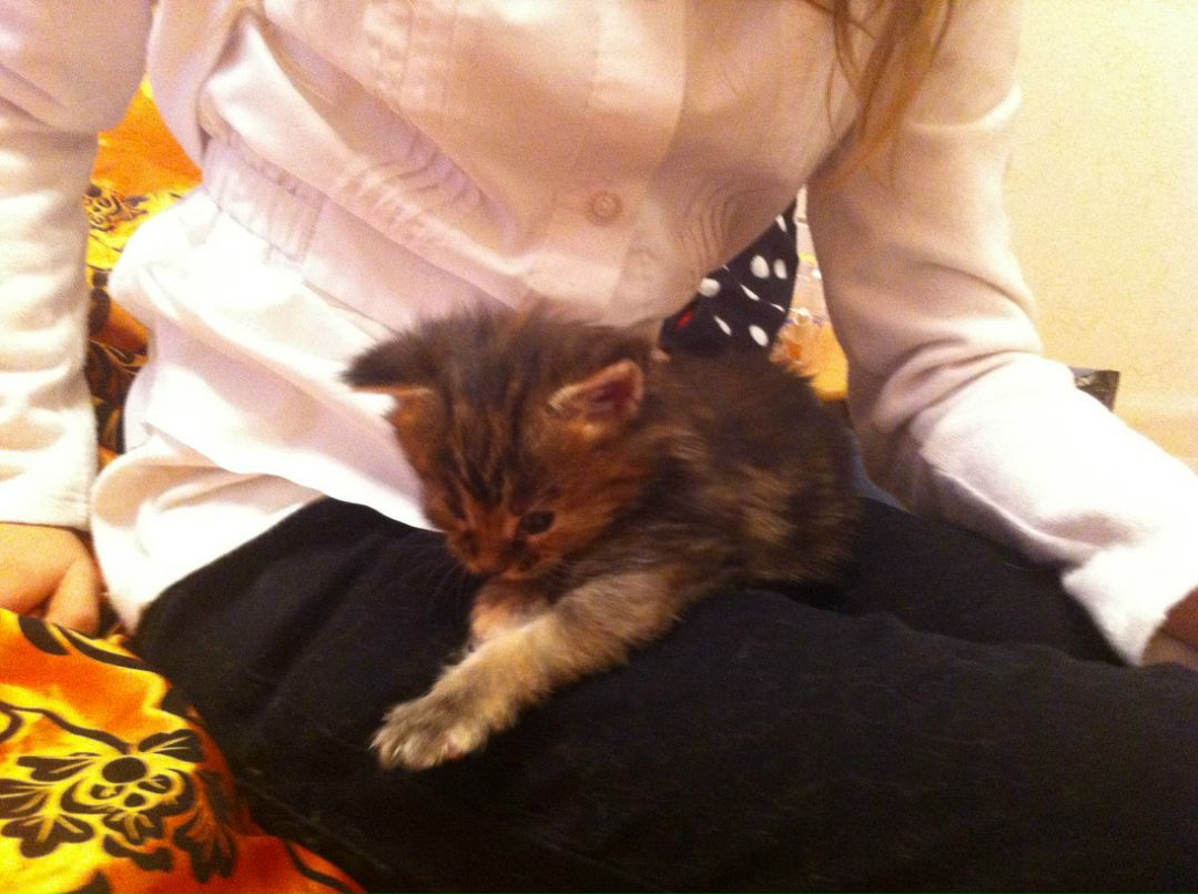 Екатерина Аккузина | Санкт-Петербург