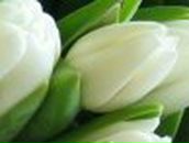 Інна Заєць | 