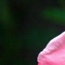 №41, Максим Кузин, 30.1 №41, Максим Кузин, 30.1