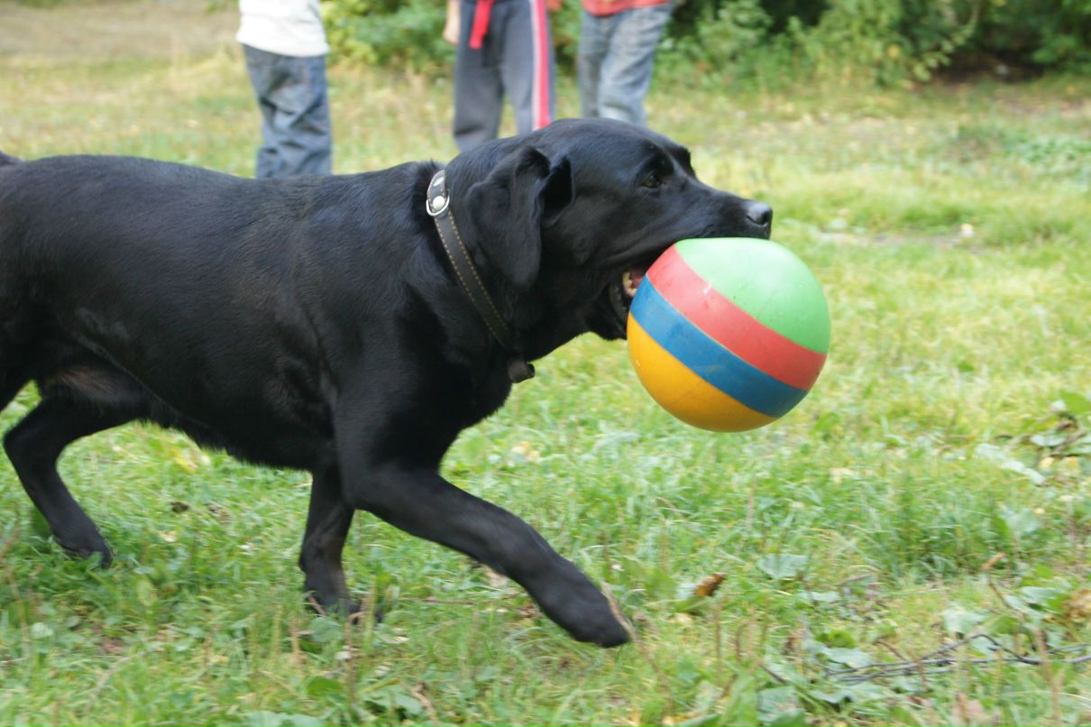 Юлия Попова | Екатеринбург
