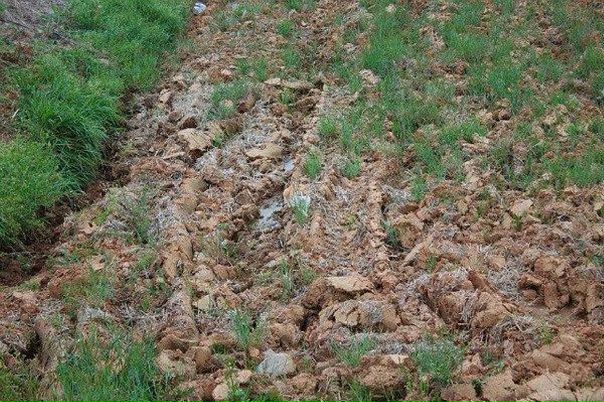 №81, Максим Юрченко, Омск №81, Максим Юрченко, Омск