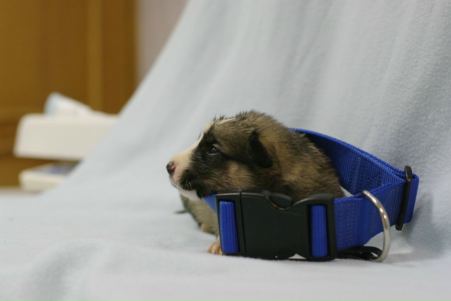 №114, Наталья Полякова, 39 лет, Москва №114, Наталья Полякова, 39 лет, Москва