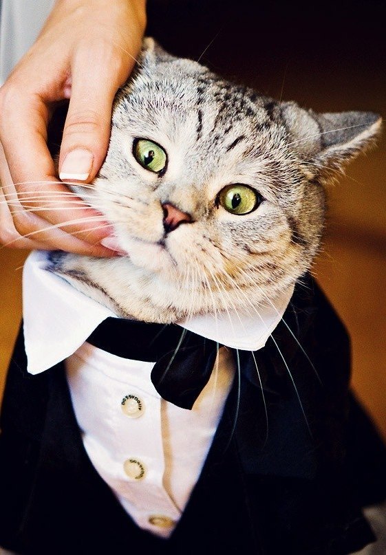 Тимка Ramone | Белгород