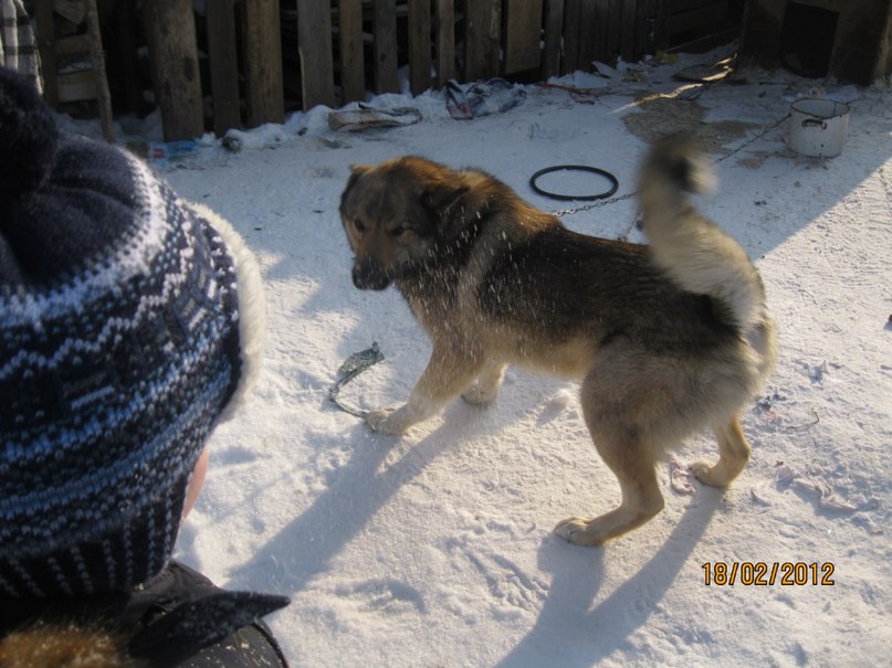 Наташа Боброва | Окуловка (деревня)