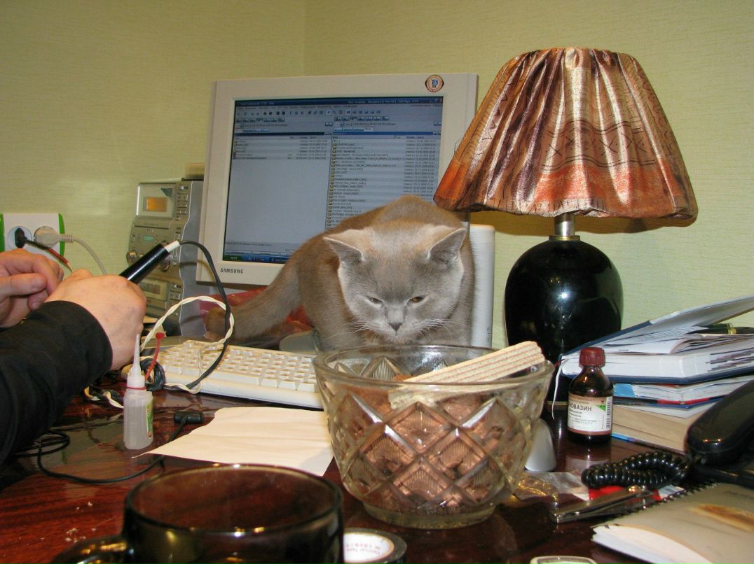 Руслан Прашкович | Севастополь