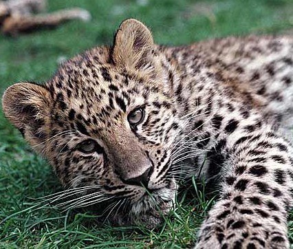 Аида Сынкова | Казань