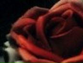 Анна Есина Владимировна | Северодонецк