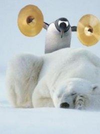 Коля Яценко | Павлоград