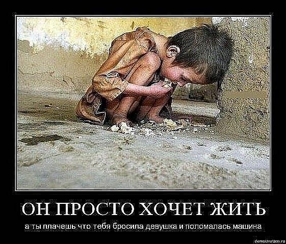 Юлия Петрова ???? Кошка ???? | Кемерово