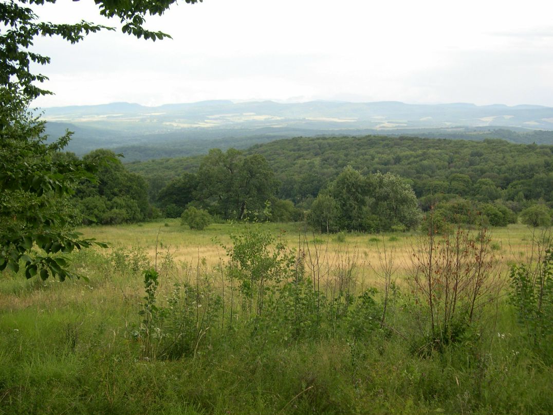 Олег Авилкин | 