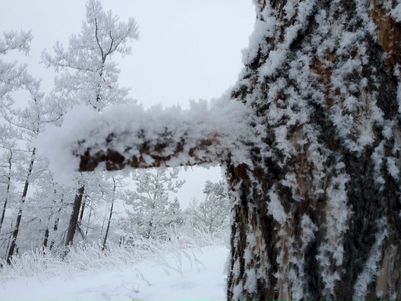 Василий Голосов | Киров