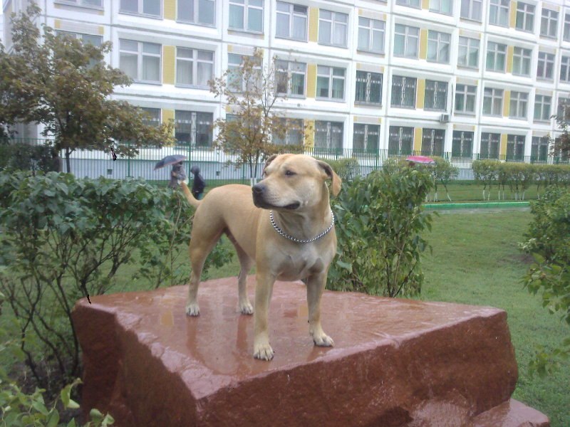 Катя Клюева | Москва