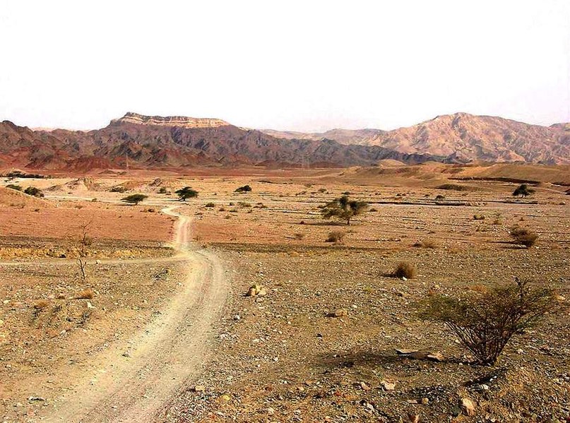 Сергей Юрьевич | Новосибирск