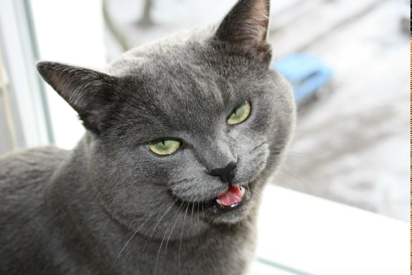 Игорь Капитонов | Харьков