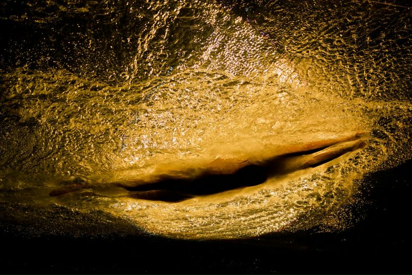 Стас Авруцкий | Сочи