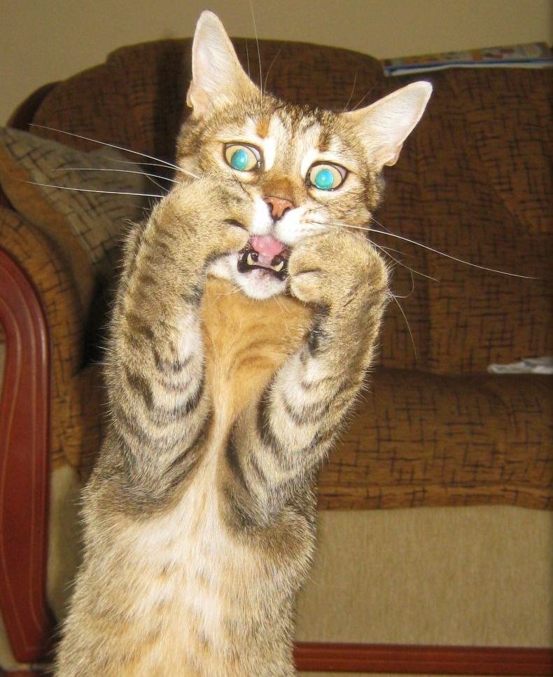 Макс Михайлов | Благовещенск