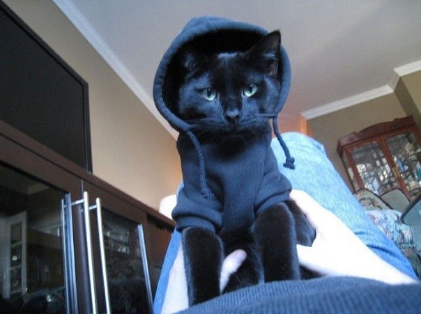 Лиза Волкова cheer_up | 