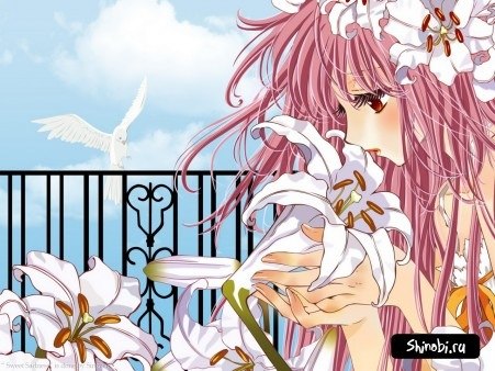 Олеся Николаева | Великий Новгород