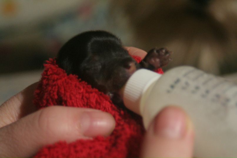 Galina Igorevna | Санкт-Петербург