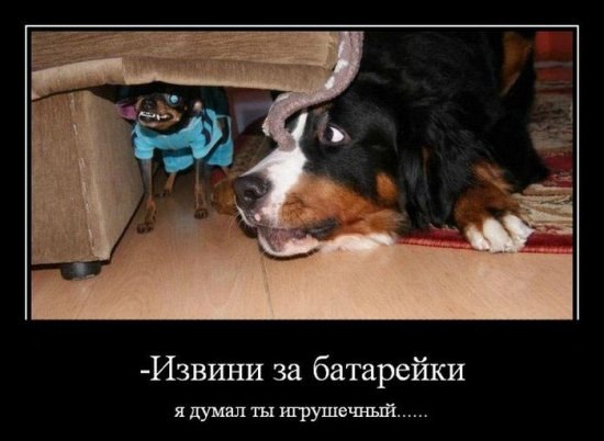 Николай Виноградов | Мурманск