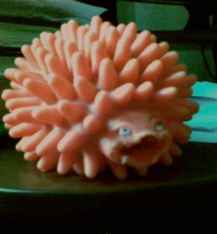 Дмитрий Сюртуков | Красноярск