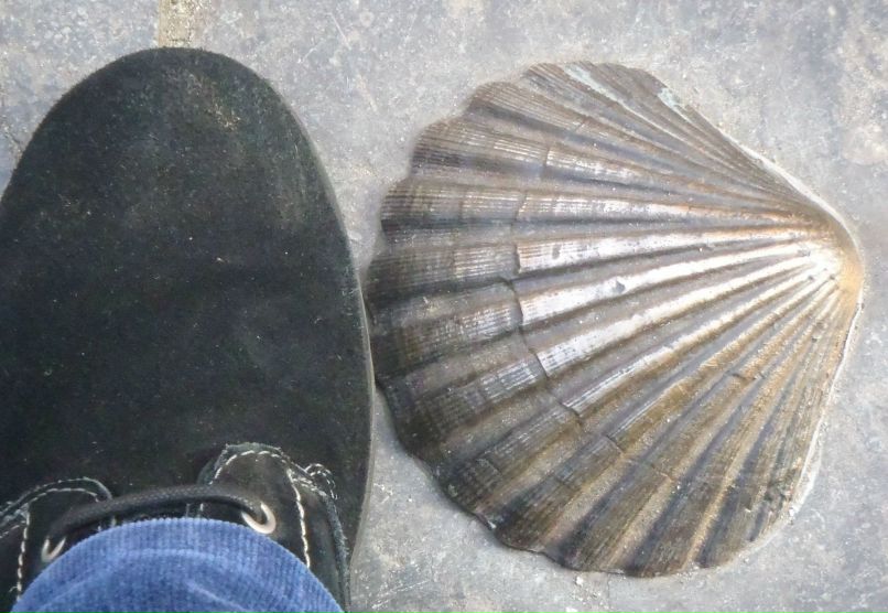 Ася Маричева | Санкт-Петербург