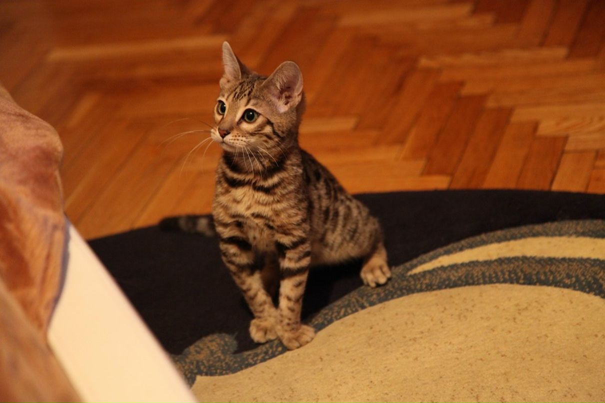 Андрей Еремин | Москва