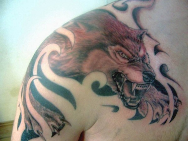 №53, Алексий Маркитан, Астрахань №53, Алексий Маркитан, Астрахань