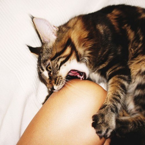 Диско Суперстар | Киев